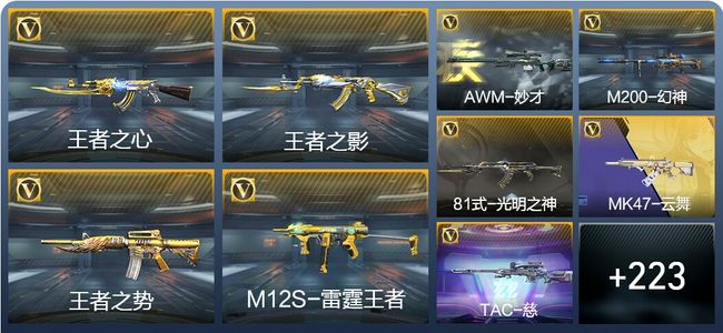 穿越火线：枪战王者V5 9王者武器 232英雄武器 9英雄角色 462万化 枪神