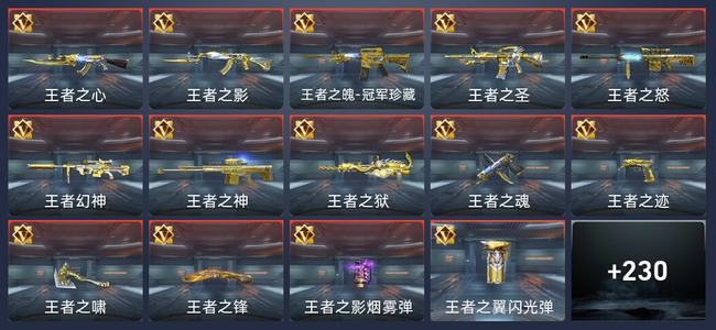 穿越火线：枪战王者V6 25王者 230英雄武器 14英雄角色 494万化 专家S