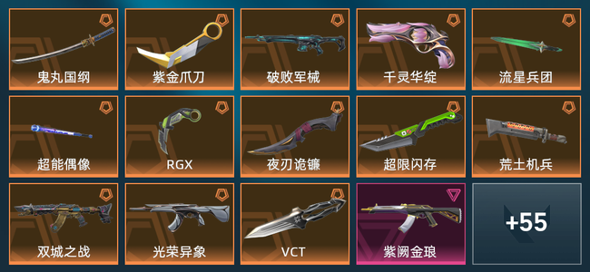 无畏契约13橙皮 5紫皮 69皮肤 29910皮肤总价值 840已用源晶 钻石