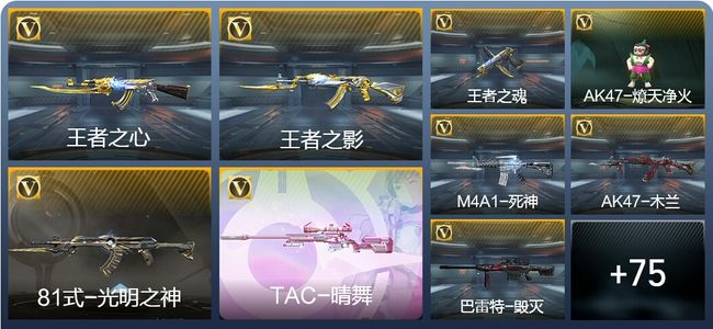 穿越火线：枪战王者5王者武器 84英雄武器 1英雄角色 82万化 大师