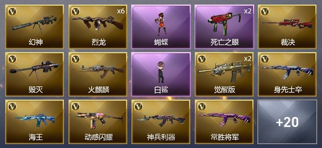 穿越火线（CF）35V武器 12皮肤 可排位 新锐