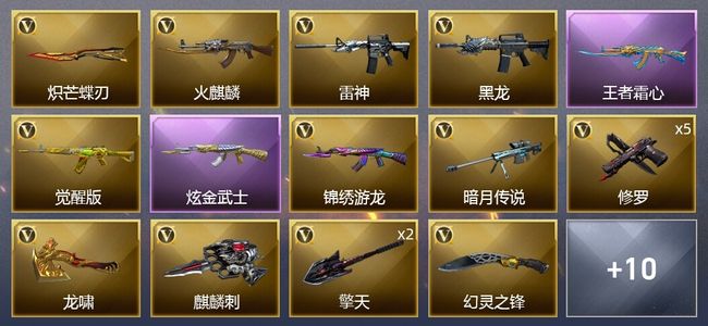 穿越火线（CF）1王者武器 1炫金武器 23V武器 8皮肤 可排位 新锐