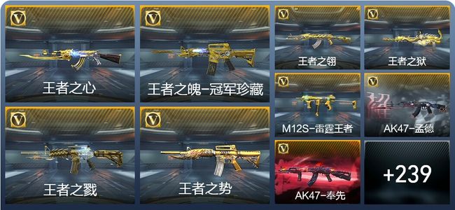 穿越火线：枪战王者V9 36王者武器 272英雄武器 12英雄角色 443万化 枪王S