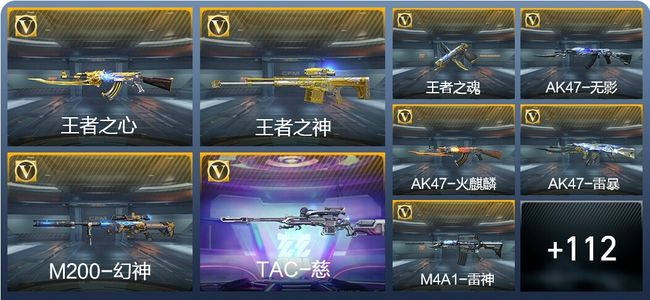 穿越火线：枪战王者5王者武器 121英雄武器 3英雄角色 203万化 专家S