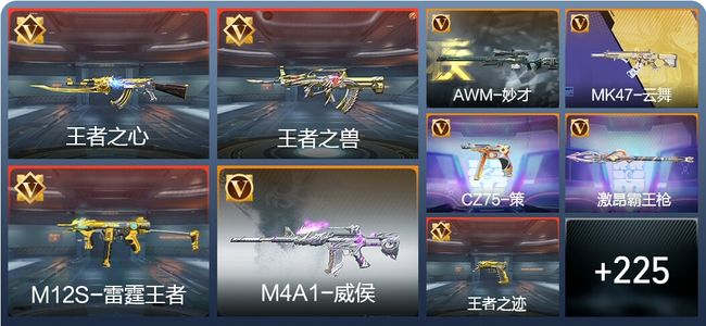 穿越火线：枪战王者V5 17王者 271英雄武器 2英雄角色 371万化 大师S