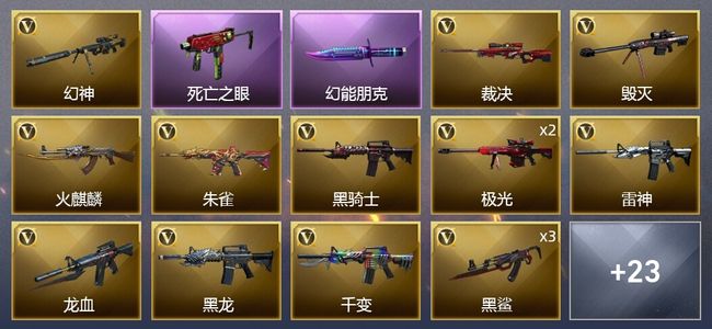 穿越火线（CF）1王者武器 1炫金武器 39V武器 14皮肤 可排位 新锐