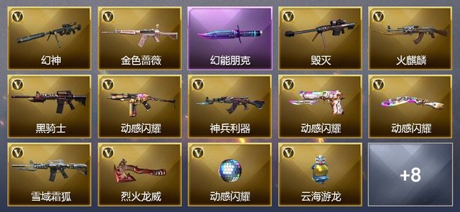 穿越火线（CF）13V武器 10皮肤 可排位 专家