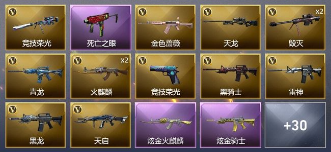 穿越火线（CF）3王者武器 2炫金武器 43V武器 3V角色 13皮肤 可排位 专家