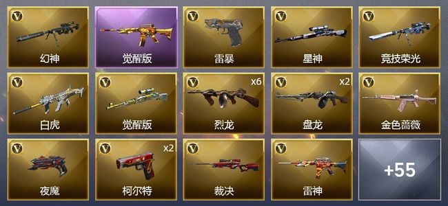 穿越火线（CF）2王者武器 2炫金武器 90V武器 3V角色 27皮肤 可排位 枪王