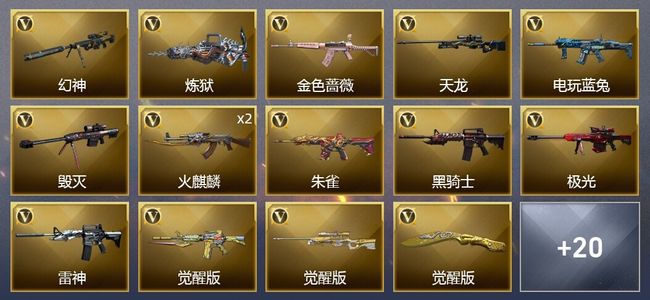 穿越火线（CF）1炫金武器 29V武器 1V角色 19皮肤 可排位 传奇