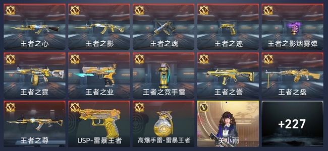 穿越火线：枪战王者V2 13王者 236英雄武器 5英雄角色 351万化 枪王S