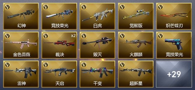 穿越火线（CF）47V武器 2V角色 16皮肤 可排位