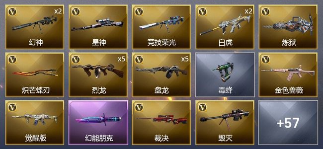 穿越火线（CF）60V武器 4V角色 25皮肤 可排位 新锐