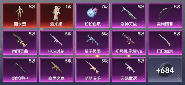 和平精英【苹果版】14载具 27升级枪 21粉装 15尾迹 388枪皮 268套装 14,6021热力 19印记