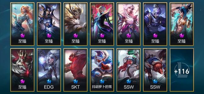 英雄联盟（LOL）8神话 11臻彩 23限定 13传说 129皮肤 49炫彩 136英雄 铂金