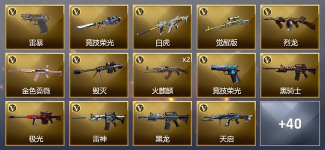 穿越火线（CF）1王者武器 71V武器 1V角色 19皮肤 可排位 传奇