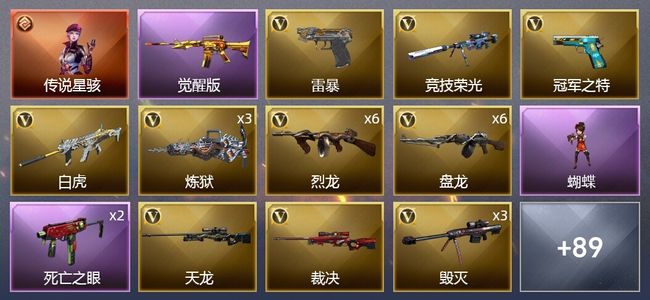 穿越火线（CF）1传说角色 13王者武器 4炫金武器 126V武器 6V角色 22皮肤 可排位 宗师