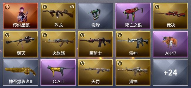 穿越火线（CF）1传说角色 1王者武器 25V武器 2V角色 1皮肤 可排位 新锐