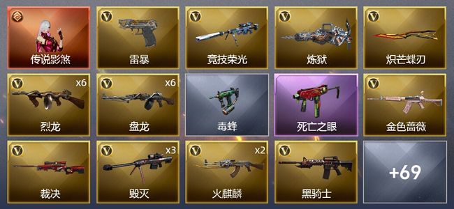 穿越火线（CF）1传说角色 2传说武器 5王者武器 2炫金武器 80V武器 4V角色 11皮肤 可排位 精英