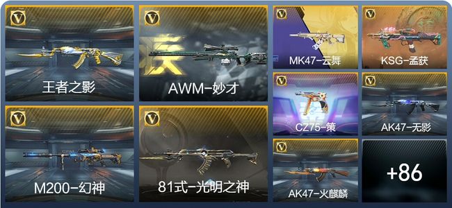 穿越火线：枪战王者V4 202英雄武器 新锐