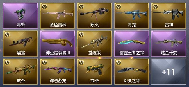 穿越火线（CF）2王者武器 1炫金武器 18V武器 13V角色 9皮肤 可排位