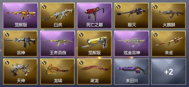 穿越火线（CF）3王者武器 1炫金武器 9V武器 10V角色 6皮肤 可排位