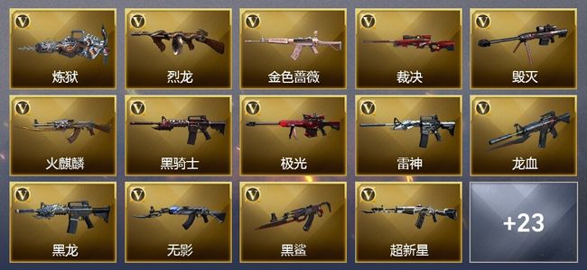穿越火线（CF）12王者武器 5炫金武器 36V武器 11V角色 11皮肤 可排位