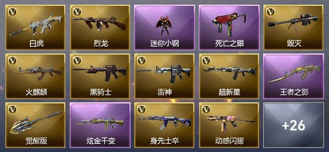 穿越火线（CF）3王者武器 1炫金武器 31V武器 27V角色 19皮肤 可排位