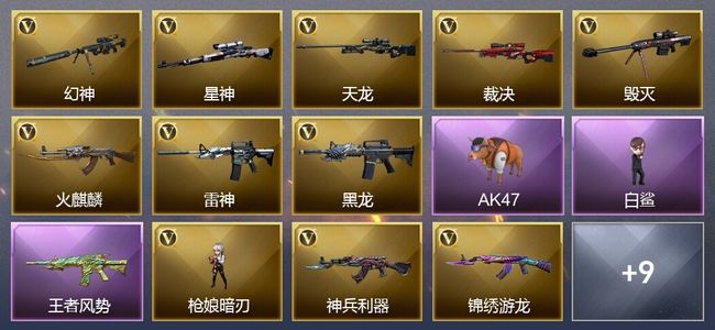 穿越火线（CF）2王者武器 14V武器 13V角色 13皮肤 可排位