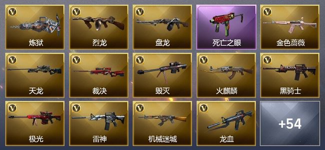 穿越火线（CF）12王者武器 5炫金武器 107V武器 15V角色 19皮肤 可排位