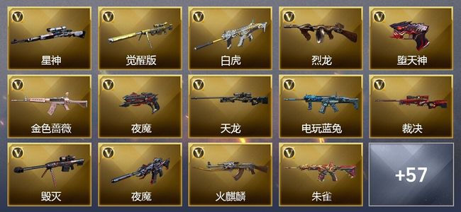 穿越火线（CF）8王者武器 1炫金武器 88V武器 24V角色 12皮肤 可排位