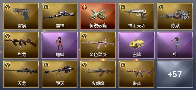 穿越火线（CF）1传说武器 8王者武器 3炫金武器 101V武器 27V角色 20皮肤 可排位