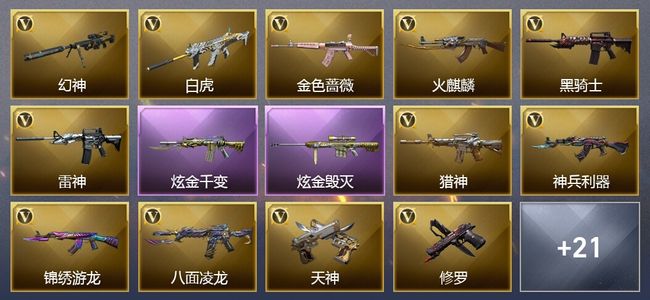 穿越火线（CF）6王者武器 2炫金武器 39V武器 12V角色 4皮肤 可排位
