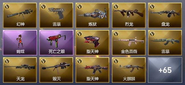 穿越火线（CF）10王者武器 6炫金武器 138V武器 14V角色 19皮肤 可排位
