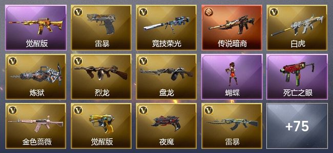 穿越火线（CF）1传说武器 14王者武器 5炫金武器 172V武器 37V角色 30皮肤 可排位