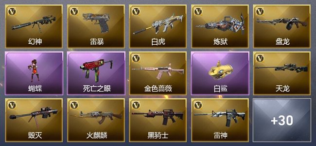 穿越火线（CF）7王者武器 2炫金武器 52V武器 21皮肤 可排位