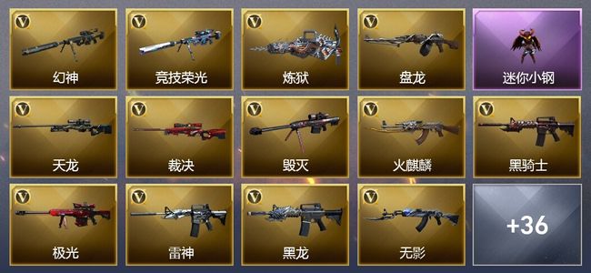 穿越火线（CF）13王者武器 3炫金武器 55V武器 23V角色 18皮肤 可排位