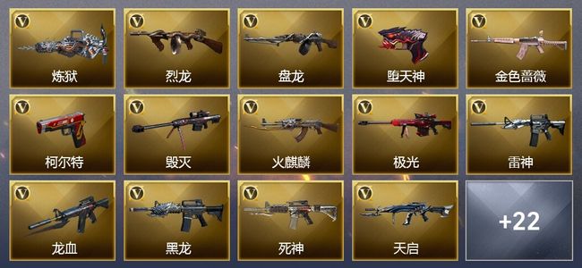 穿越火线（CF）5王者武器 2炫金武器 47V武器 13V角色 5皮肤 可排位