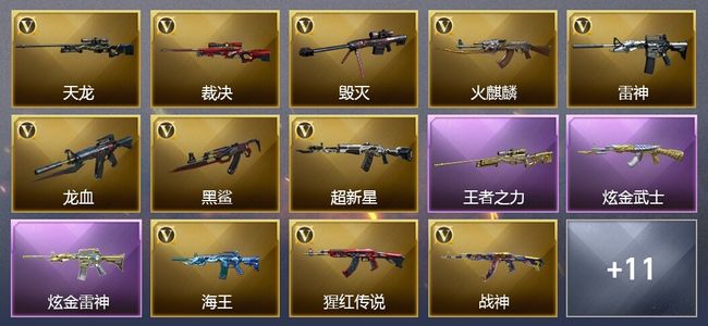 穿越火线（CF）1王者武器 2炫金武器 21V武器 9V角色 10皮肤 可排位