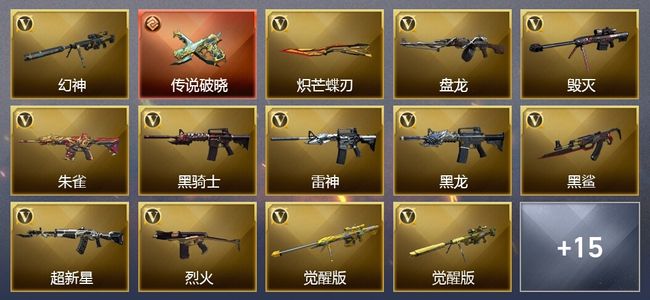穿越火线（CF）1传说武器 17王者武器 2炫金武器 26V武器 14V角色 5皮肤 可排位