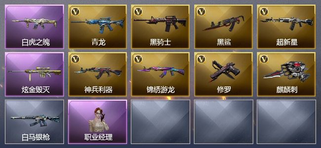 穿越火线（CF）1王者武器 1炫金武器 11V武器 7V角色 1皮肤 可排位