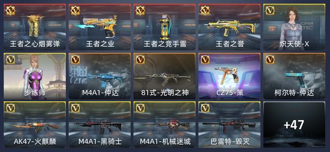 穿越火线：枪战王者V4 85英雄武器 新锐