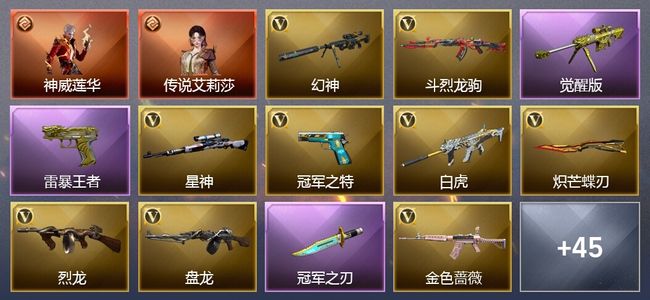 穿越火线（CF）2传说角色 12王者武器 77V武器 17V角色 18皮肤 可排位