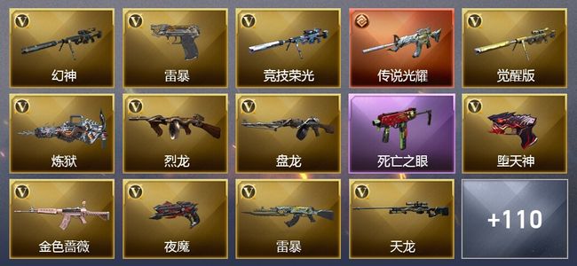 穿越火线（CF）1传说武器 30王者武器 8炫金武器 310V武器 24V角色 27皮肤 可排位