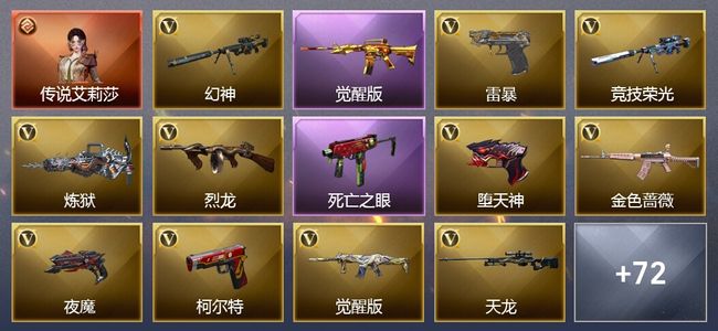 穿越火线（CF）1传说角色 17王者武器 1炫金武器 110V武器 24V角色 29皮肤 可排位