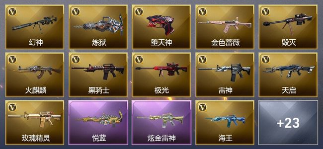 穿越火线（CF）1王者武器 1炫金武器 51V武器 13V角色 12皮肤 可排位