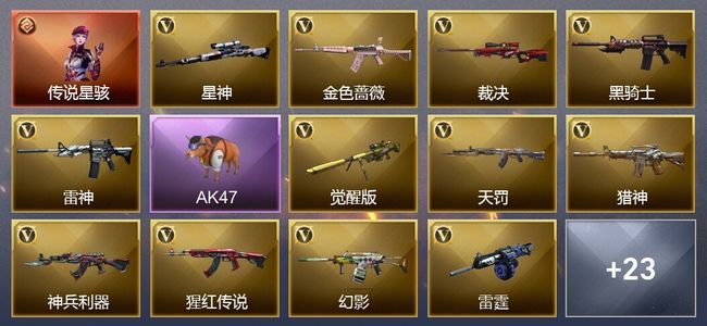 穿越火线（CF）1传说角色 2王者武器 44V武器 19V角色 8皮肤 可排位