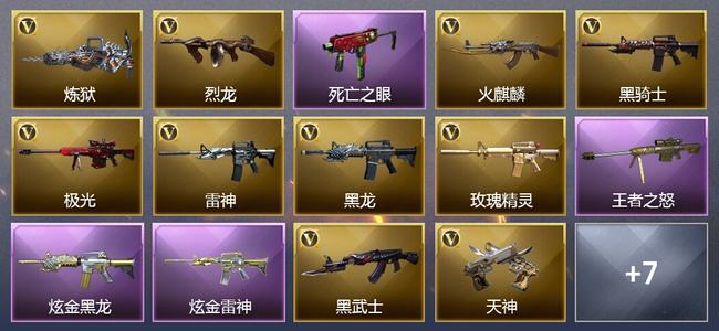 穿越火线（CF）0传说角色 0传说武器 1王者武器 2炫金武器 18V武器 3V角色 4皮肤 可排位 无