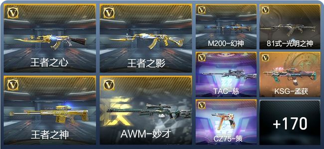 穿越火线：枪战王者V3 11王者武器 179英雄武器 6英雄角色 304万化 专家S