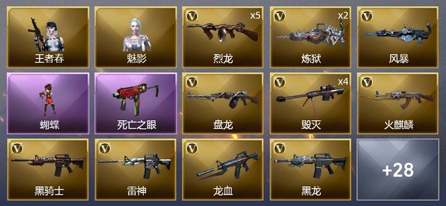 穿越火线（CF）4炫金武器 39V武器 1V角色 23皮肤 可排位 新锐